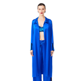 مجموعة ساكسفون باللون الأزرق