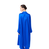 مجموعة ساكسفون باللون الأزرق